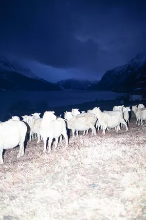 Let's Talk About The Weather artwork
