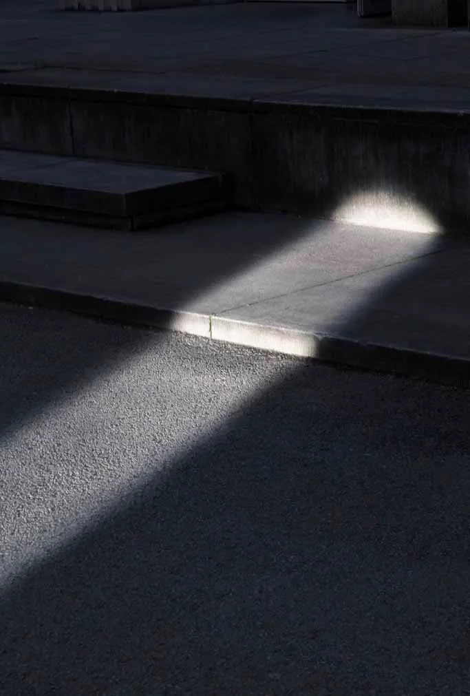 Ann Vincent: "I search for ways to use artificial materials to create the illusion of something natural"