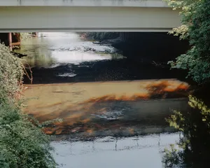 Limburg artwork