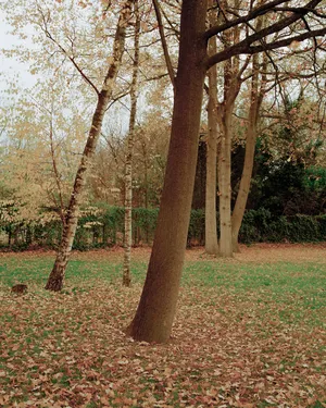 Limburg artwork