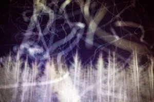 Liquidation artwork