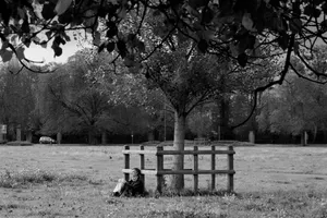 Looking at loneliness artwork