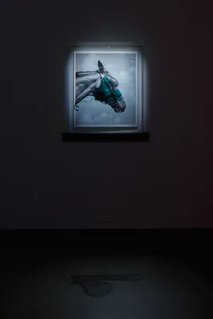 Looking Forward to Meet Me artwork