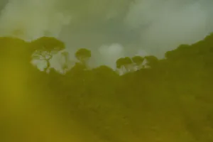 Os Encantados artwork