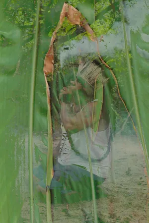 Os Encantados artwork