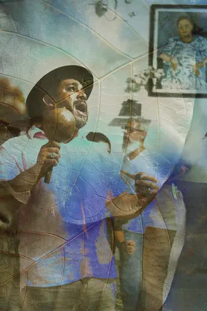 Os Encantados artwork