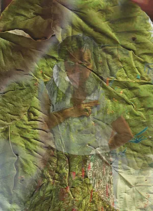 Os Encantados artwork
