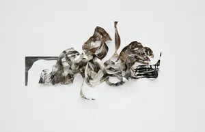 Mapping Tensions: Cartography of Distorted Boundaries artwork