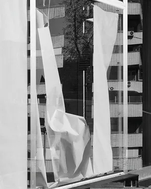 Marble Ass artwork