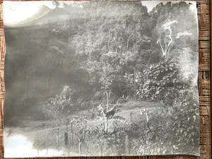 Camera Obscura Type III artwork