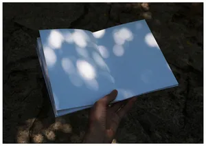 Matter of light artwork