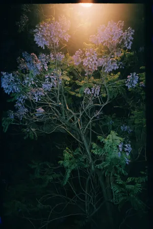 Meet the artists nominated by Bienal Fotografia do Porto in 2023