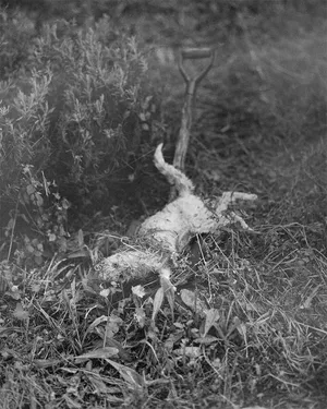 Meet the artists nominated by Bienal Fotografia do Porto in 2024