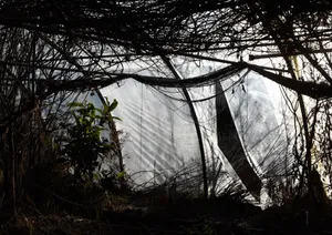 Meet the artists nominated by Centre de la photographie Genève in 2023