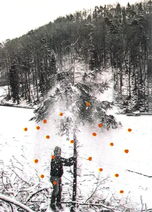 Meet the artists nominated by Centre de la photographie Genève in 2024