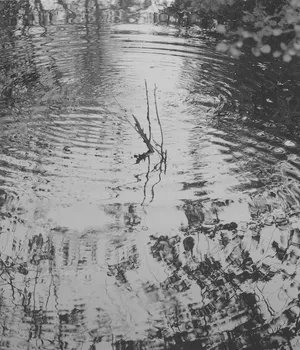Meet the artists nominated by Fotogalleriet in 2024