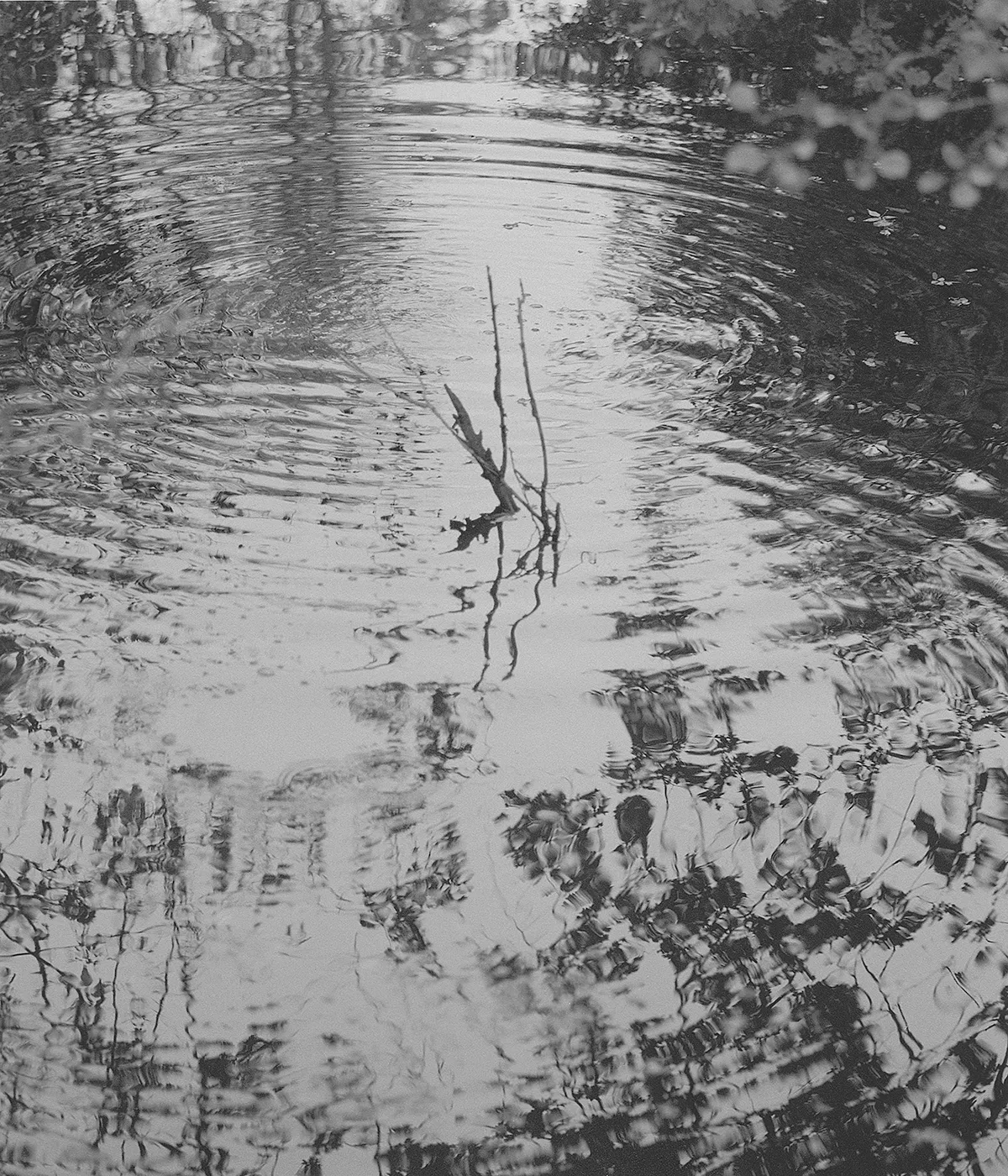 Meet the artists nominated by Fotogalleriet in 2024