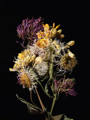 Meet the artists nominated by Photo Elysée in 2024