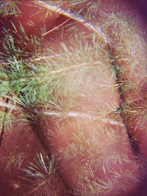 Meet the artists nominated by Photoforum Pasquart in 2024