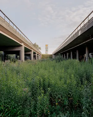 Meet the artists nominated by Copenhagen Photo Festival in 2024