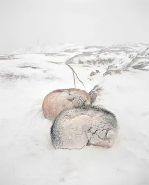 Meet the artists selected by Triennial of Photography Hamburg in 2020
