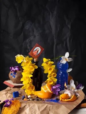 Mester Blousé artwork