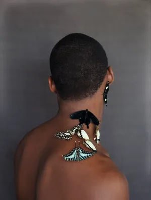 Mester Blousé artwork