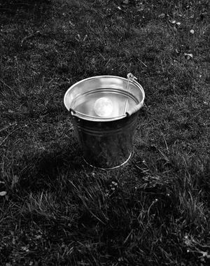 Metamorphosis at EXPOSED Torino Photo Festival