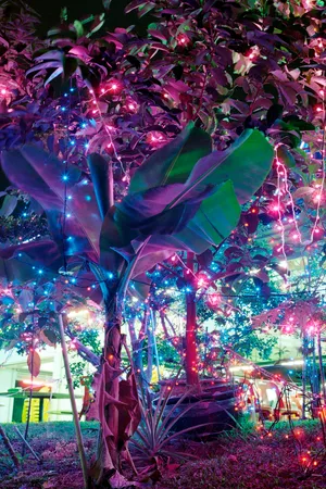 Meet the artists nominated by PhotoEspaña in 2021