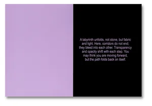 Mixed (SPBH Editions, 2026) artwork