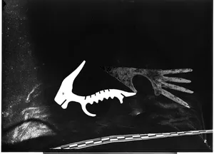 Modular Artefacts Mammoth Remains artwork