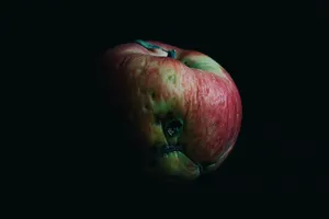 Monologue about Chernobyl artwork