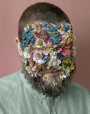 Morphologies artwork