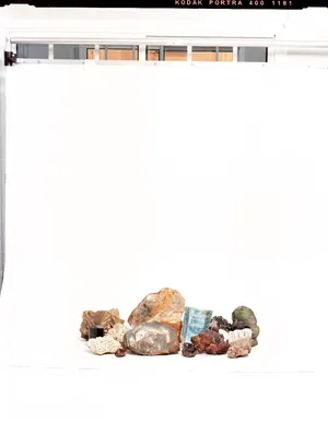 Musea Futuri artwork