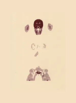 Nama artwork