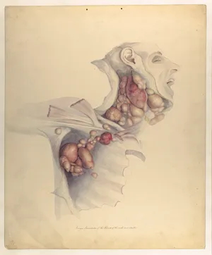 Nama artwork