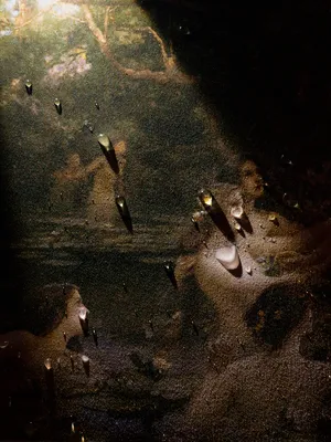 Nama artwork