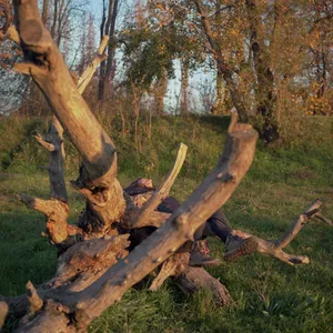 Meet the artists nominated by Robert Capa Contemporary Photography Center in 2024