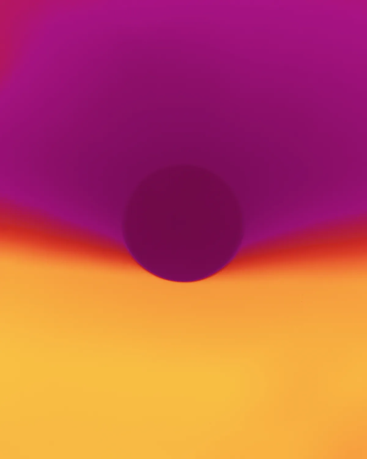 Meet the artists nominated by FOTODOK in 2024