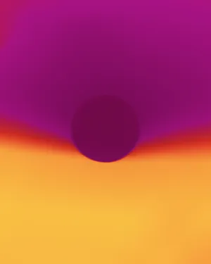 Meet the artists nominated by FOTODOK in 2024