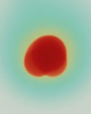 Meet the artists nominated by FOTODOK in 2024