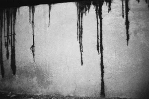 No Man’s Land artwork