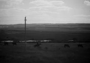 No Man’s Land artwork