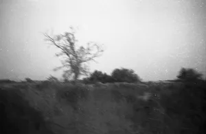 No Man’s Land artwork