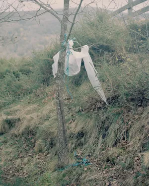 Michael Swann