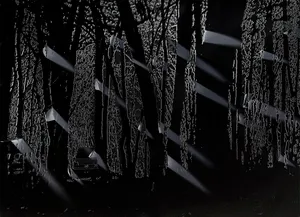 NOMS INCONNUS_REPRODUCTION. SUTURE._#INGRID artwork