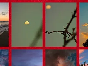 NOMS INCONNUS_REPRODUCTION. SUTURE._#INGRID artwork