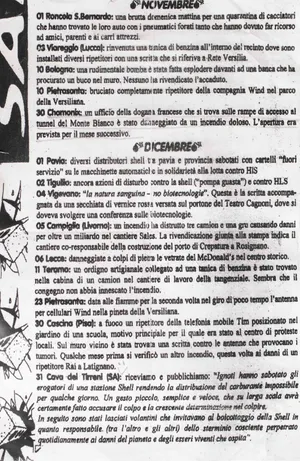 Non dite che siamo pochi artwork
