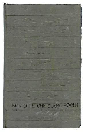 Non dite che siamo pochi artwork