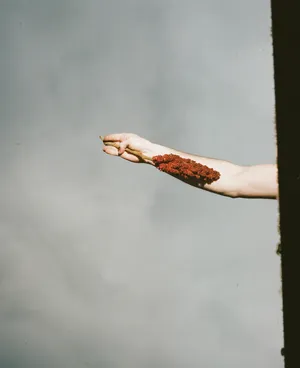 Now is not the right time artwork